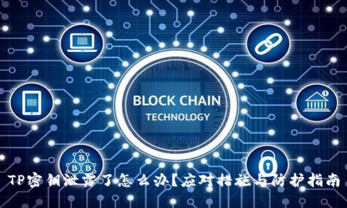 TP密钥泄露了怎么办？应对措施与防护指南